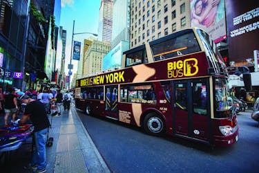BIG BUS New York